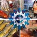 VCD Cara Produksi Bandeng Presto